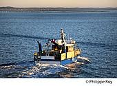 33F32227.jpg