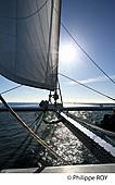 33F32421.jpg