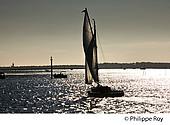 33F32424.jpg