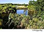 33F32731.jpg