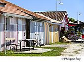 33F32822.jpg