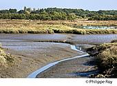 33F33131.jpg