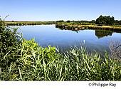 33F33215.jpg