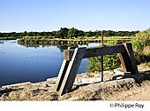 33F33217.jpg