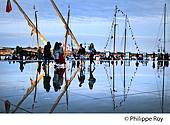 33F33810.jpg