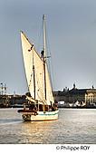33F34415.jpg