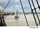 33F34417.jpg