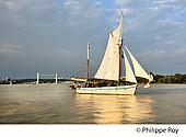 33F34420.jpg