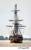 33F34436.jpg