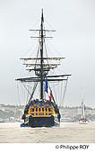 33F34437.jpg