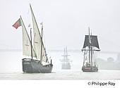 33F34509.jpg