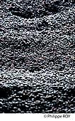 33V40103.jpg