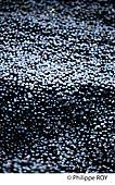 33V40104.jpg