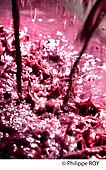 33V40601.jpg