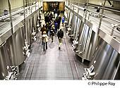 33V42009.jpg