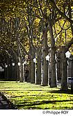 34F00505.jpg