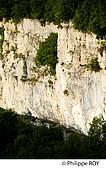 39F00716.jpg
