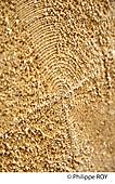 39F01710.jpg