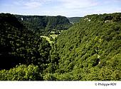 39F02240.jpg