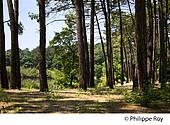 40F01315.jpg