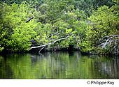 40F02108.jpg