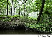 40F02127.jpg