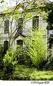40F02521.jpg