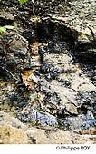 40F02640.jpg