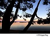 40F03121.jpg