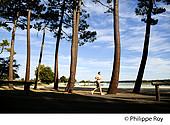 40F03137.jpg