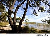 40F03221.jpg