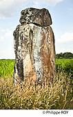 40F03631.jpg