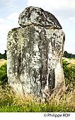 40F03632.jpg