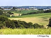 40F03910.jpg