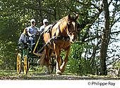 40F04018.jpg
