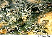 40F05722.jpg