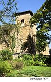 40F06837.jpg