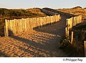 40F07406.jpg