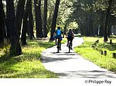 40F08102.jpg