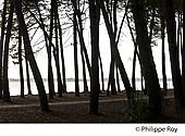 40F08103.jpg