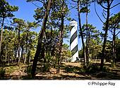 40F08719.jpg