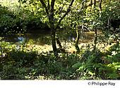 40F08733.jpg