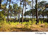 40F08810.jpg