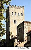 46F00915.jpg