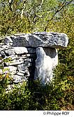 46F01515.jpg