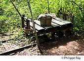 46F01631.jpg