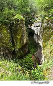 46F01633.jpg
