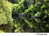 46F04115.jpg