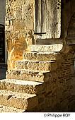 47F01016.jpg
