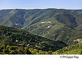 48F00304.jpg